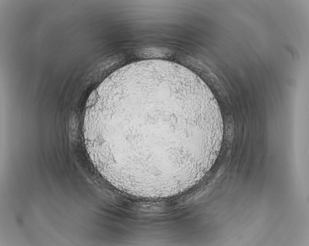 X0000110690359200907241109