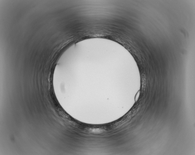 X0000110690360200907241109