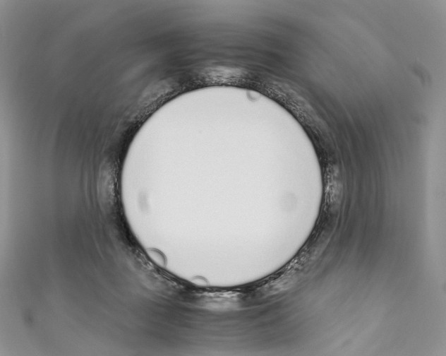 X0000110690363200907241109