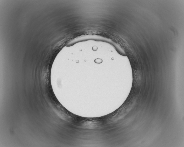 X0000110690364200907241109