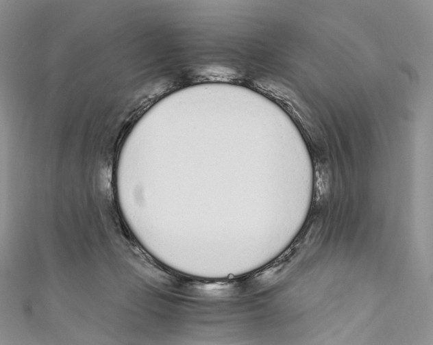 X0000110690365200907241109