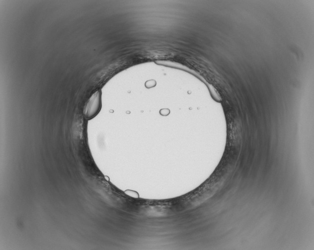 X0000110690368200907241109