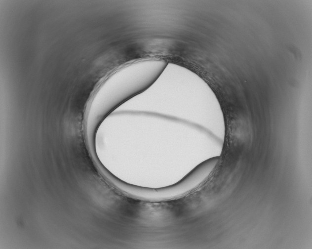 X0000110690372200907241109