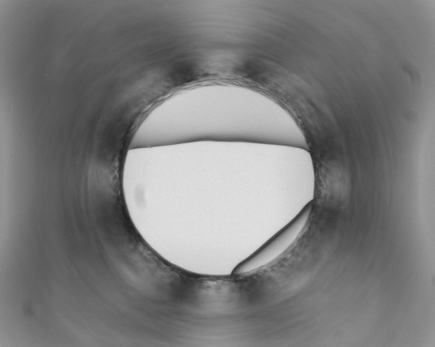 X0000110690376200907241109