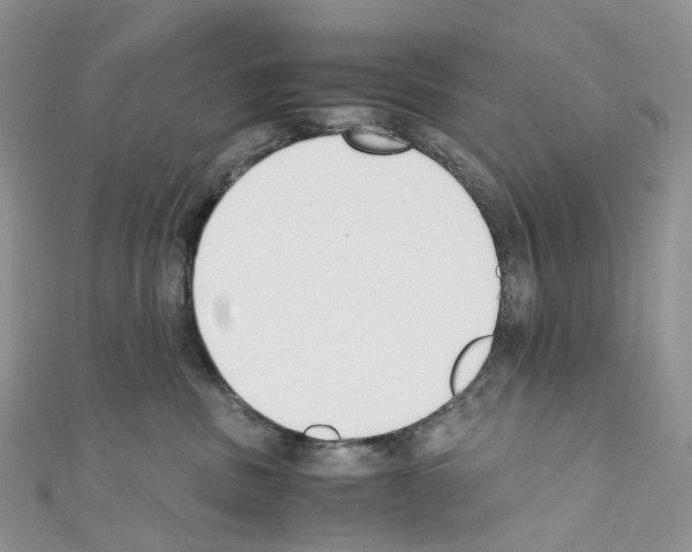 X0000110690379200907241109