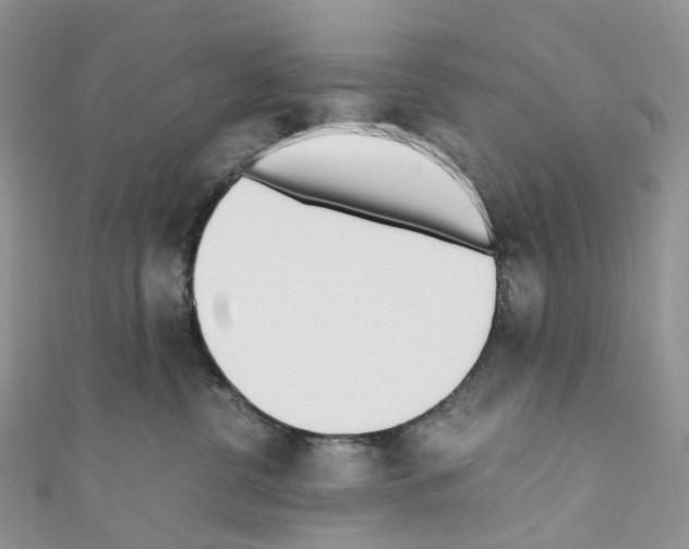 X0000110690380200907241109