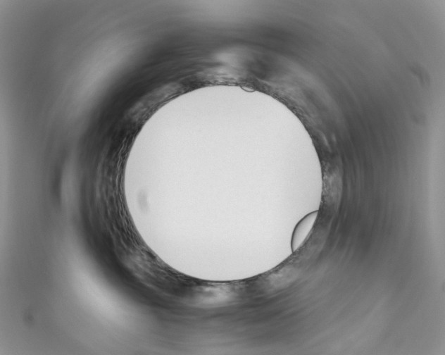 X0000110690381200907241109