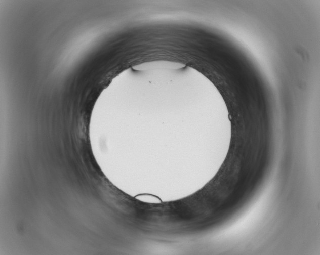 X0000110690382200907241109