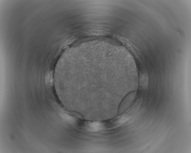 X0000110690383200907241109