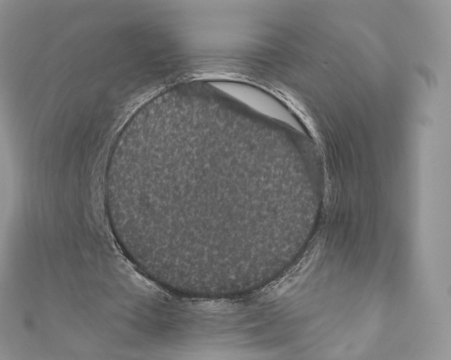 X0000110690385200907241108