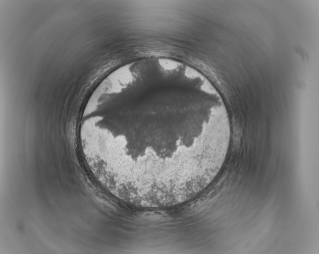 X0000110690386200907241108