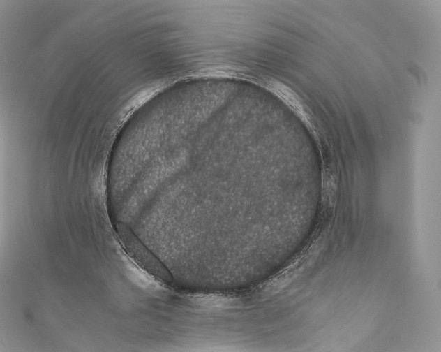 X0000110690389200907241108