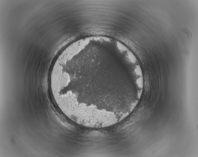 X0000110690390200907241108