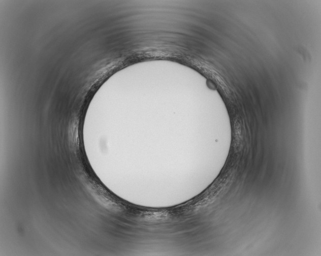 X0000110690398200907241108