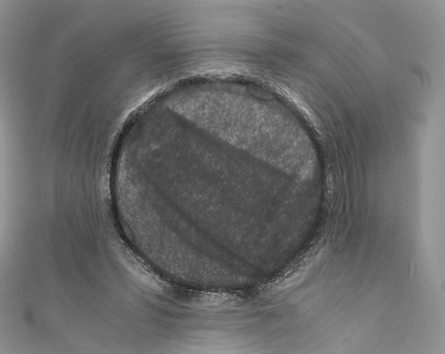 X0000110690399200907241108