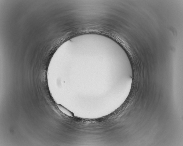 X0000110690401200907241108