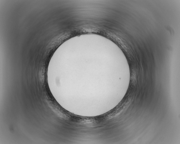 X0000110690402200907241108