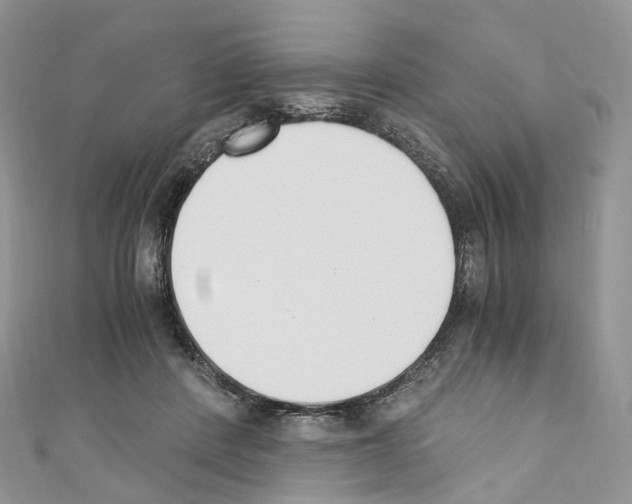 X0000110690408200907241108