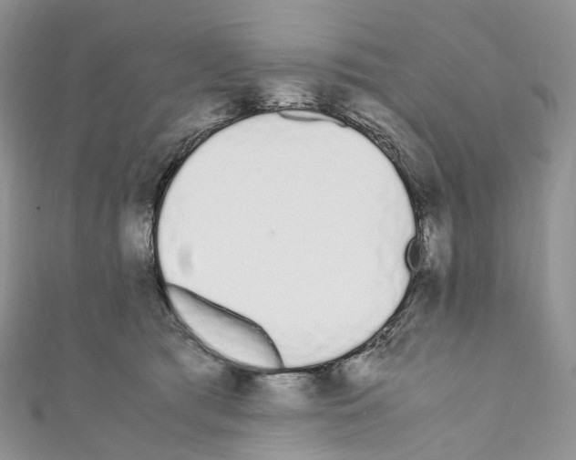 X0000110690417200907241108