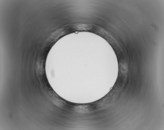 X0000110690422200907241108