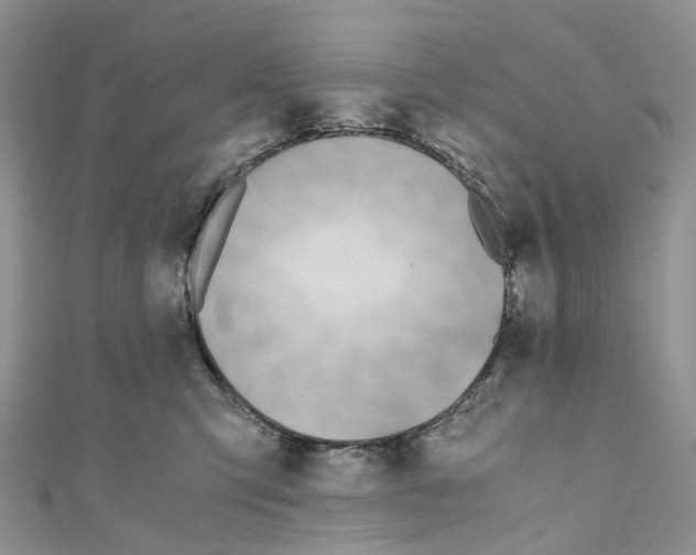 X0000110690423200907241108