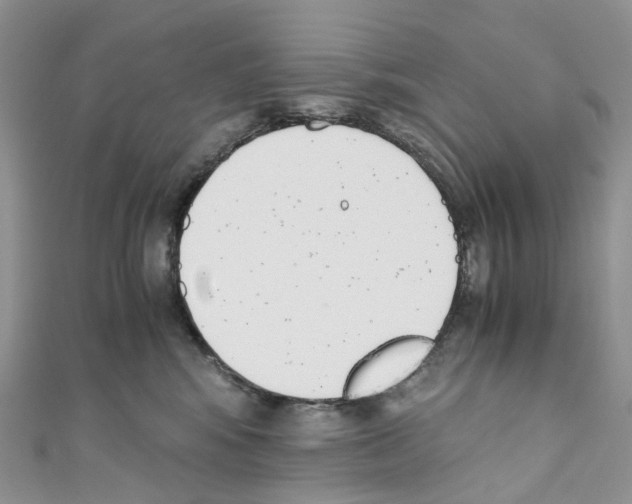 X0000110690424200907241108