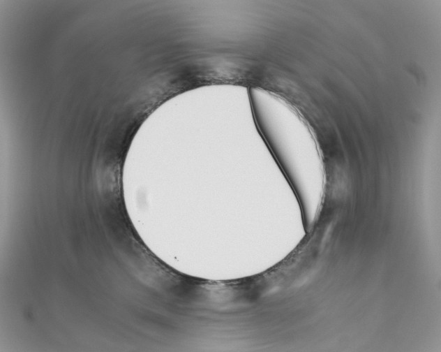 X0000110690425200907241108