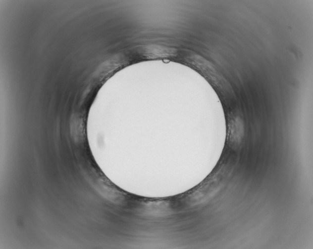 X0000110690426200907241108