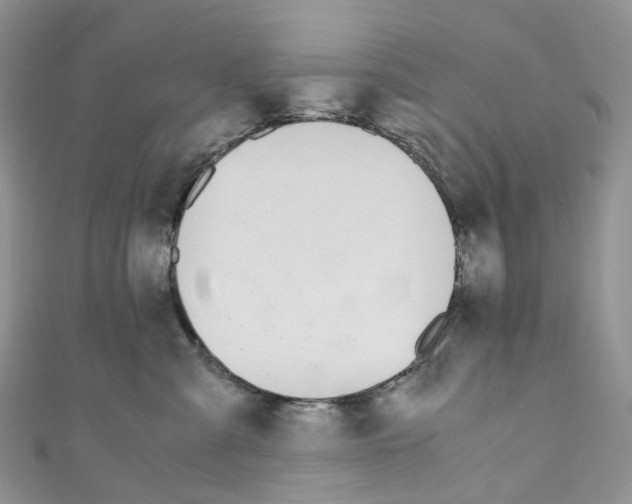 X0000110690427200907241108