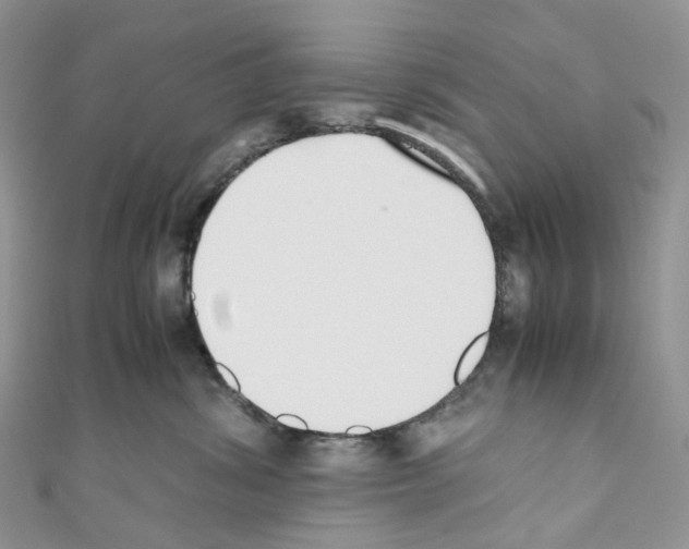 X0000110690428200907241108