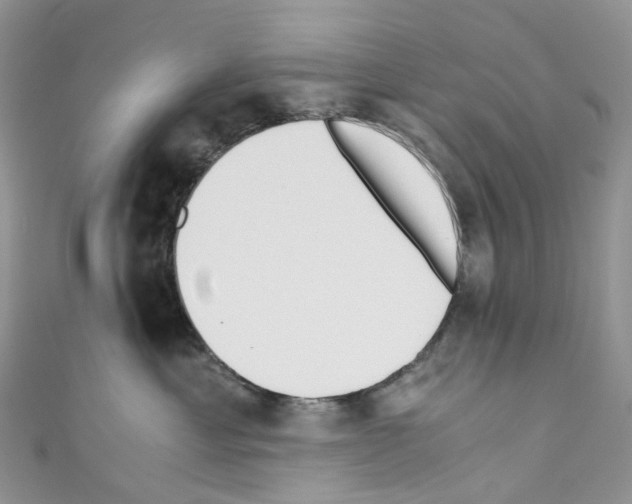 X0000110690429200907241108