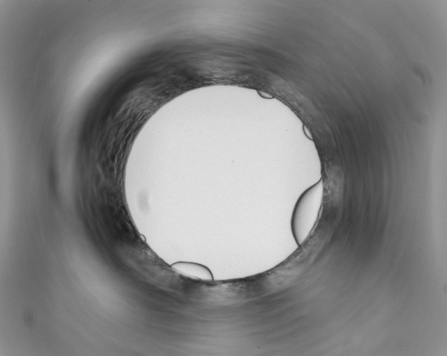 X0000110690430200907241108