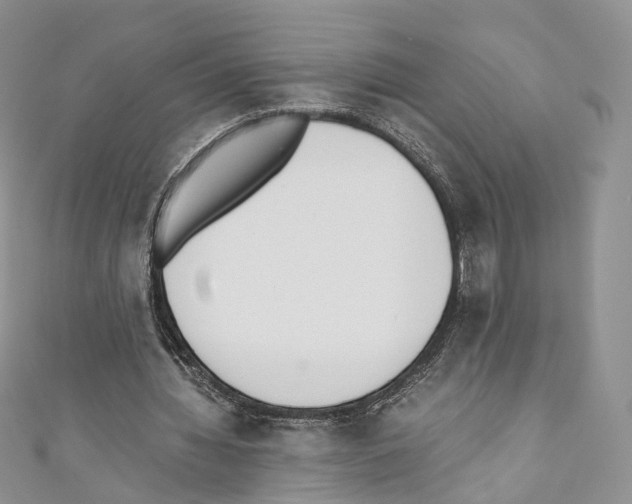 X0000110690436200907241107