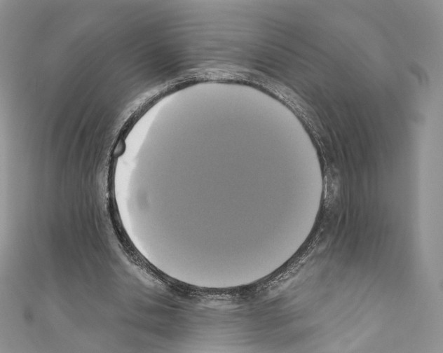 X0000110690438200907241107