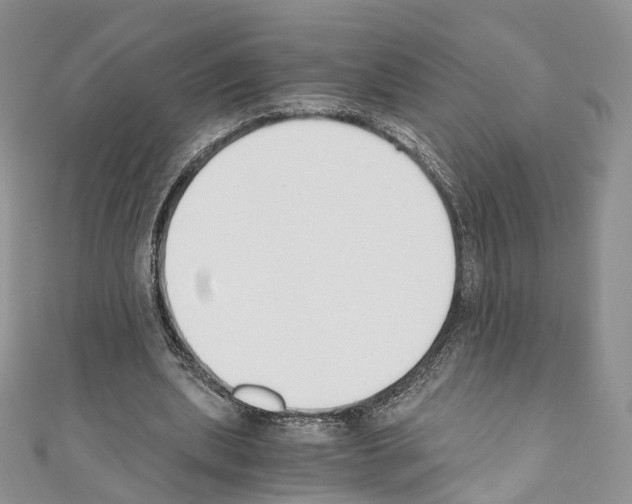 X0000110690439200907241107