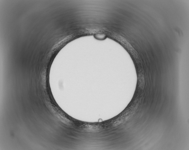 X0000110690442200907241107