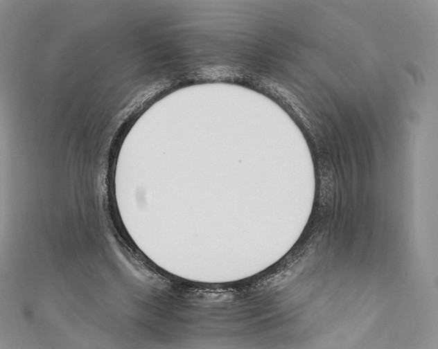 X0000110690443200907241107