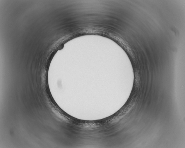 X0000110690445200907241107