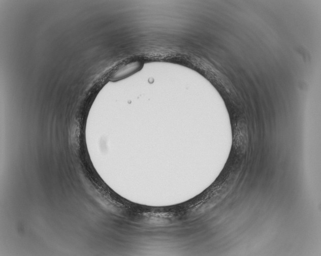 X0000110690448200907241107