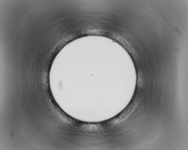 X0000110690449200907241107