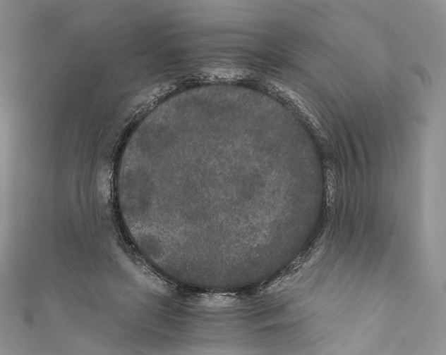 X0000110690451200907241107