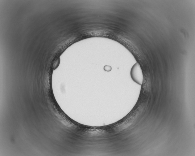 X0000110690453200907241107