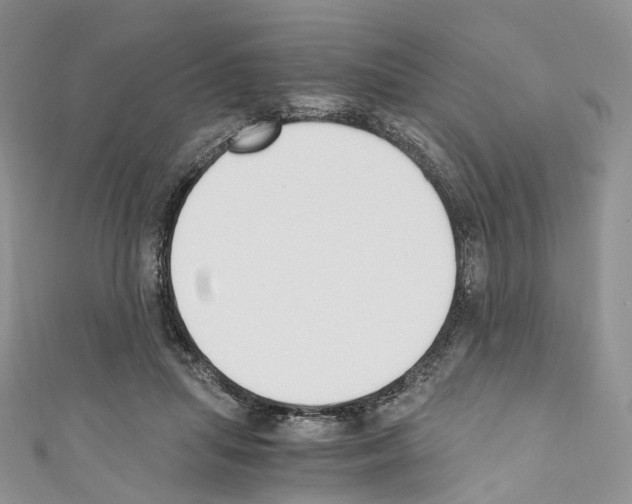 X0000110690455200907241108