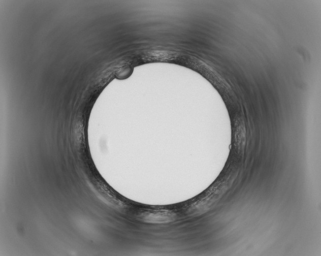 X0000110690459200907241108