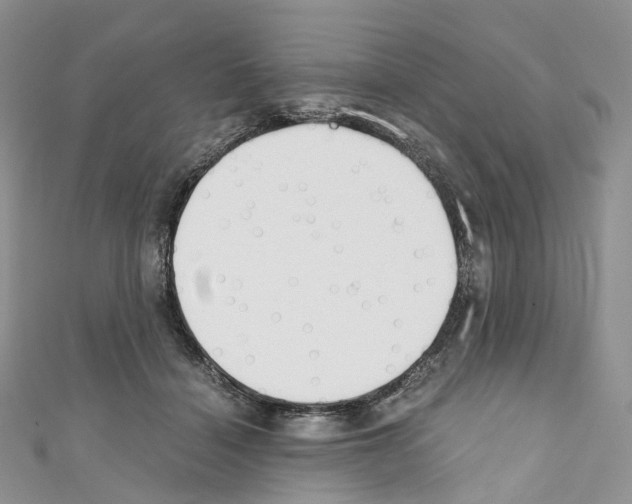 X0000110690460200907241108