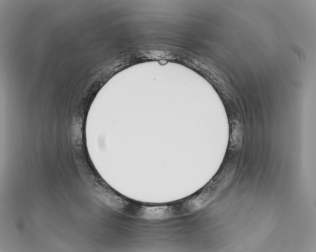 X0000110690461200907241108