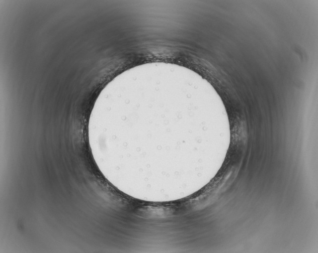 X0000110690464200907241108