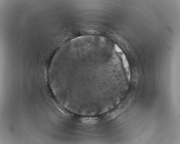 X0000110690465200907241108