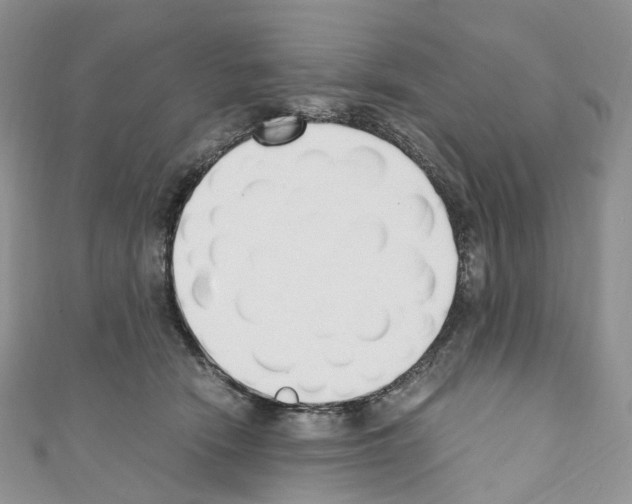 X0000110690466200907241108