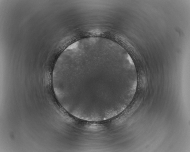 X0000110690467200907241108